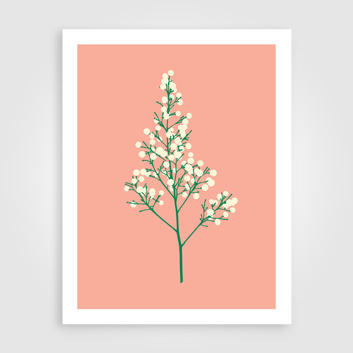 seeds - blush